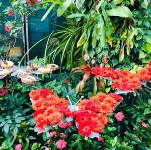 Meet your Posher, Sadaf